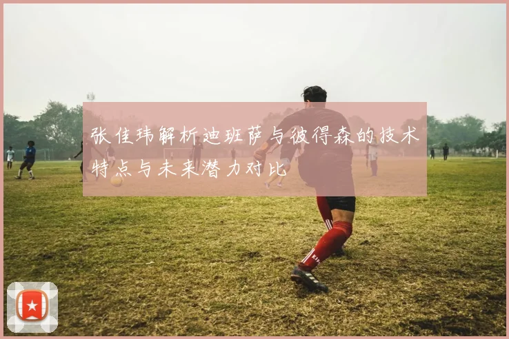张佳玮解析迪班萨与彼得森的技术特点与未来潜力对比